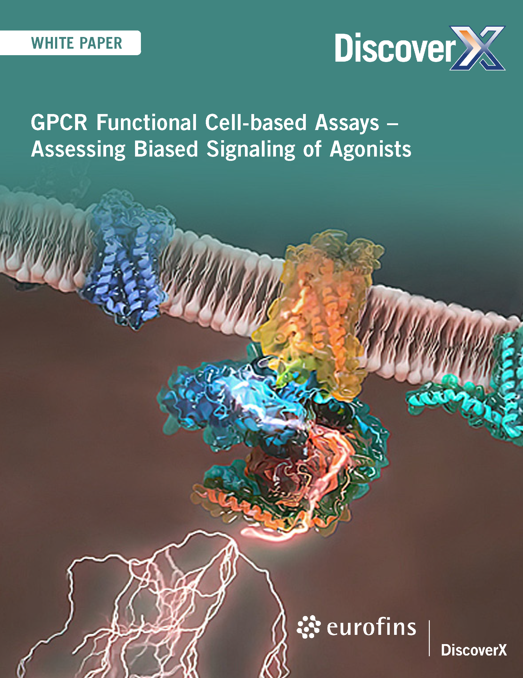 [자연과학] GPCR Biased Signaling 분석을 위한 Functional Assay 전략