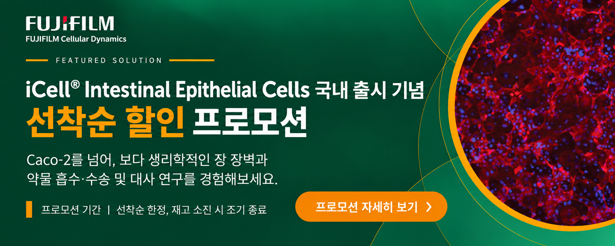 iCell Intestinal Epithelial Cells 국내 출시 기념 선착순 할인 프로모션
