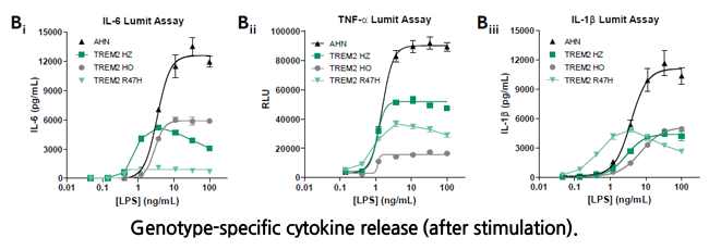 TREM2 Signal Pathway