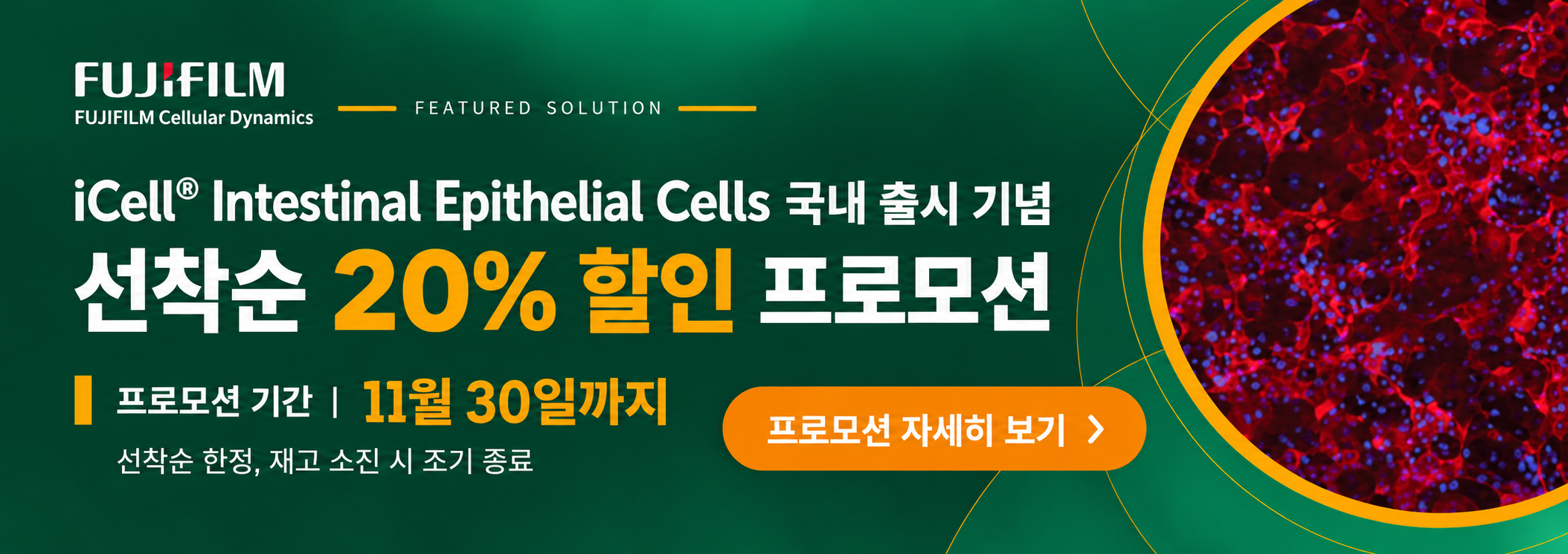 iCell Intestinal Epithelial Cells 국내 출시 기념 선착순 할인 프로모션
